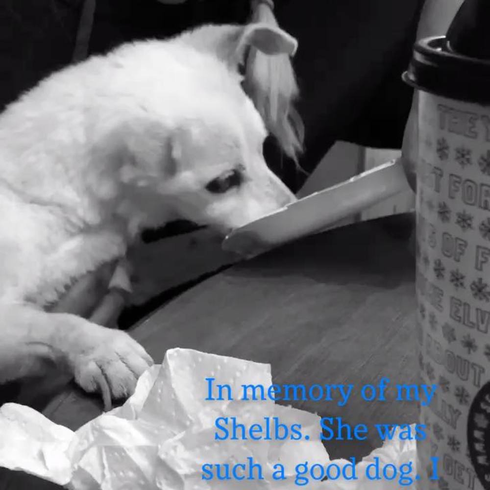 Meet your Posher, Whitney